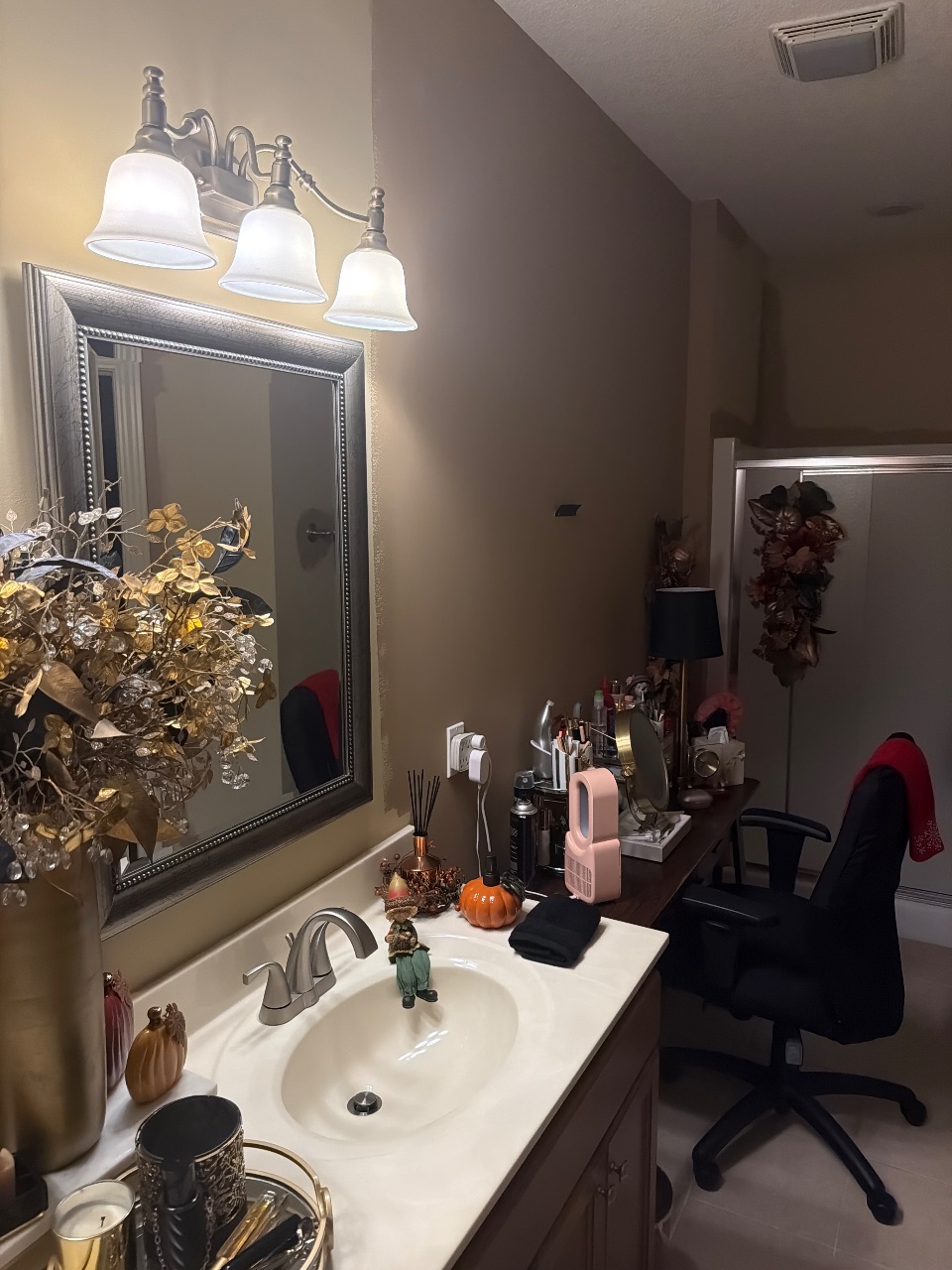 Bathroom repaint, before the work