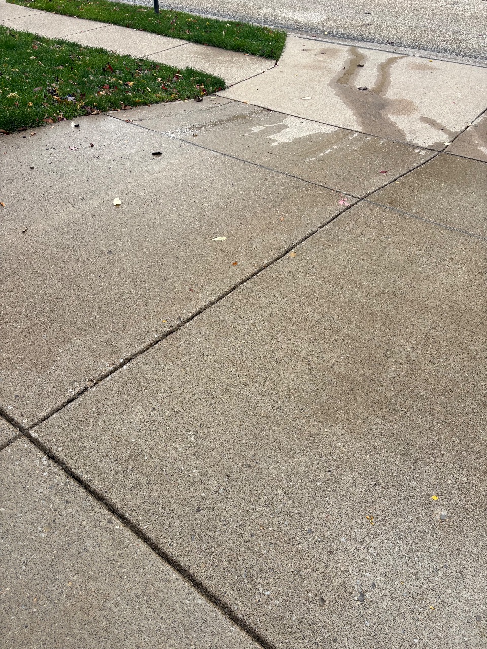 Whole-property pressure washing (siding, gutters, driveway, deck), after the work