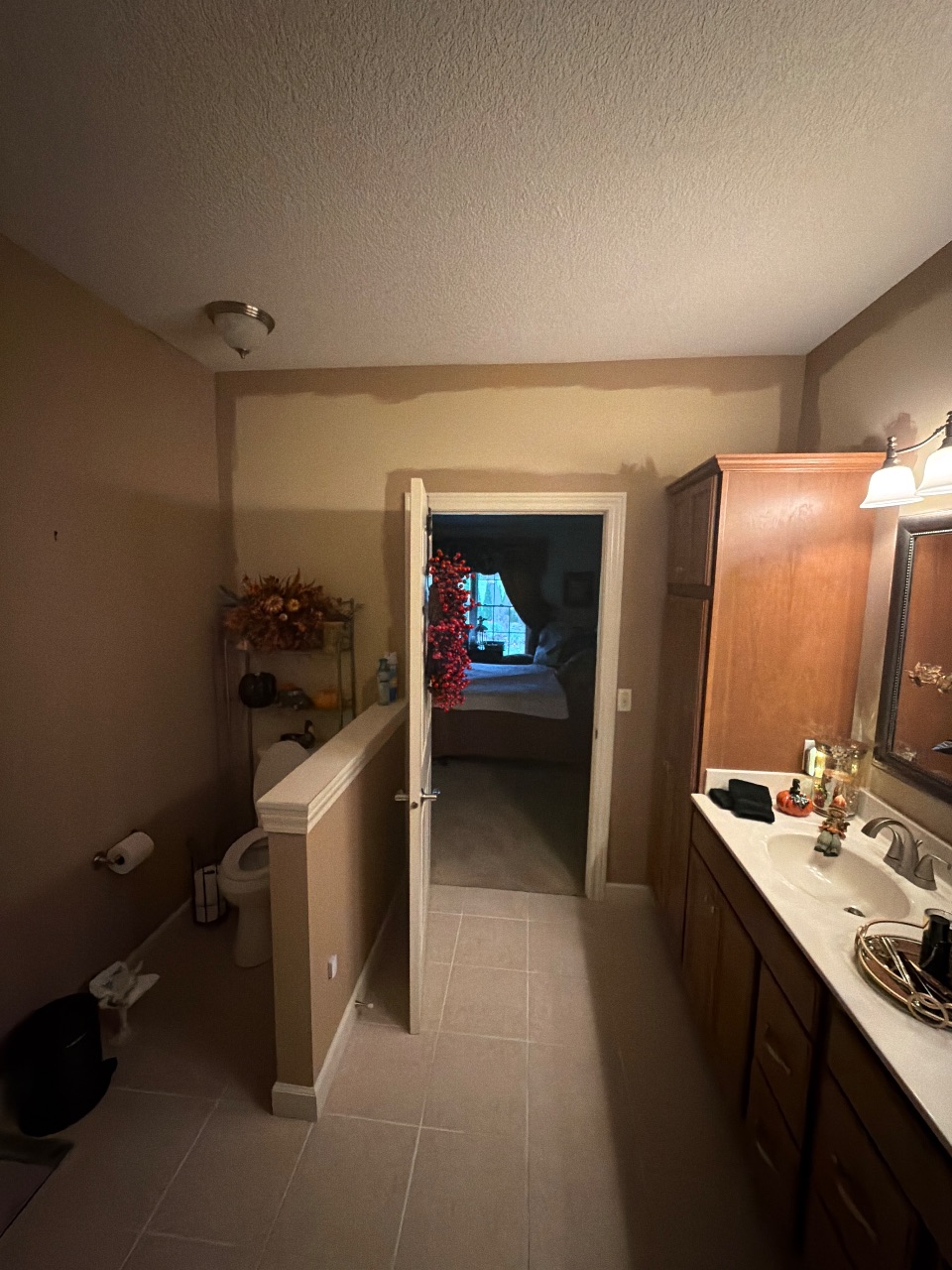 Bathroom repaint, before the work